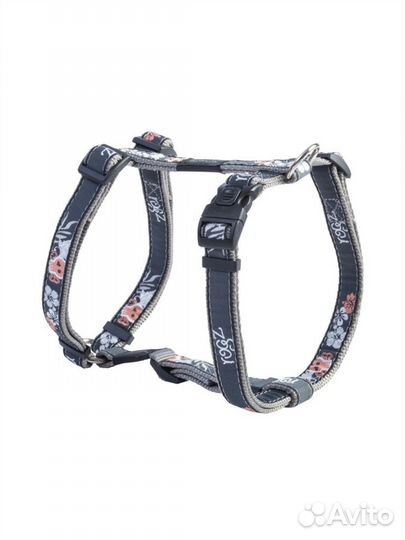 Правильная шлейка для собаки