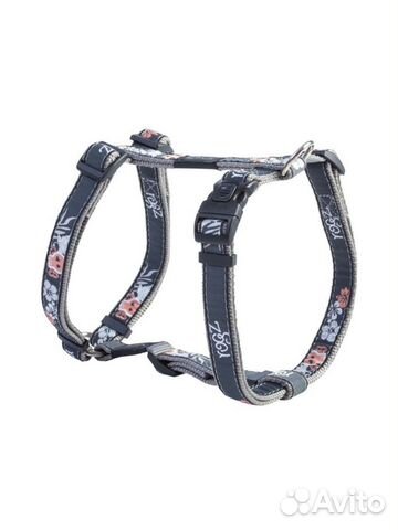 Правильная шлейка для собаки