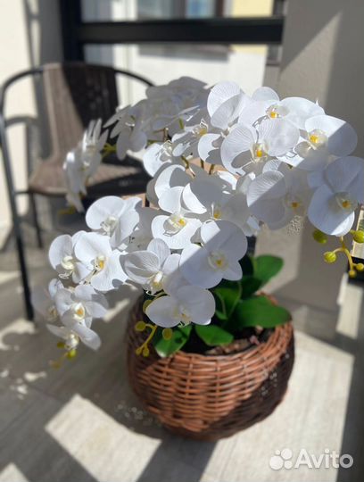 Орхидея фаленопсис имитация живого цветка