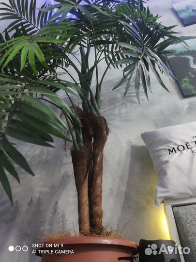 Искусственная пальма