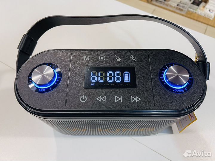 Мощная колонка караоке W-King H10S 80W