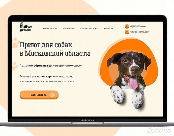 Профессиональные сайты для бизнеса