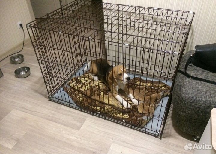 Клетка для Собак