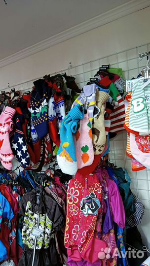 Одежда для собак