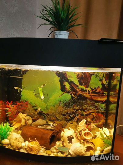 Аквариум