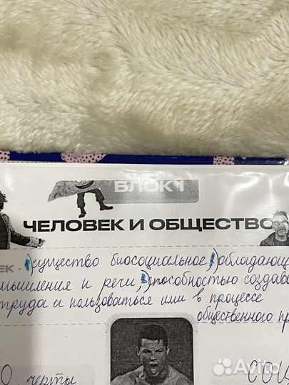 Все для егэ по обществознанию 2024