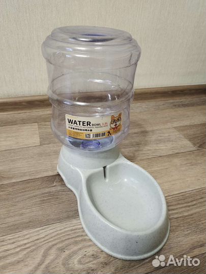 Домашние животные