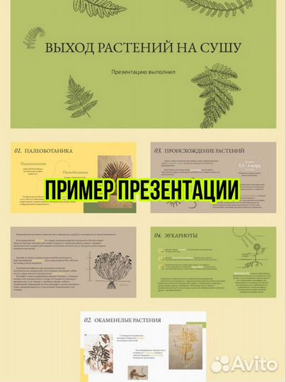 Презентации / Сочинения на заказ