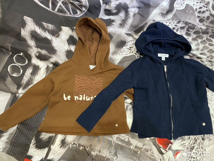 Massimo dutti одежда