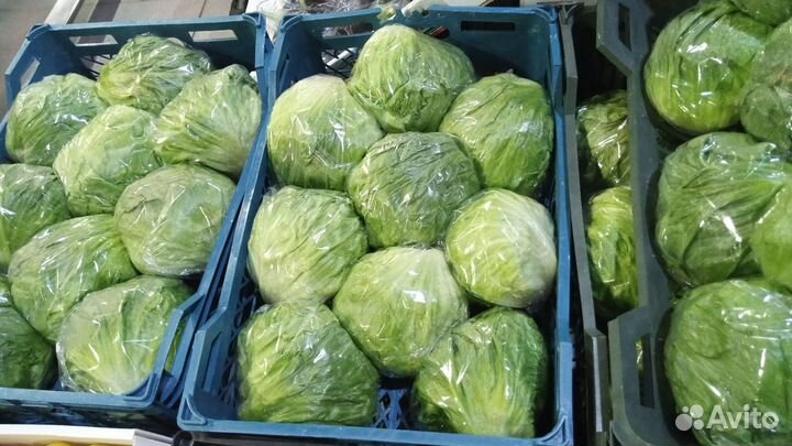 Айсберг салат