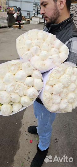 Купить цветы оптом