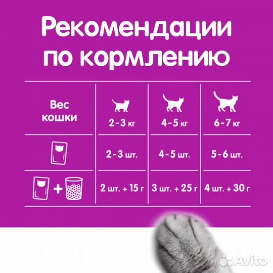 Whiskas влажный корм для кошек, паштет из говядины