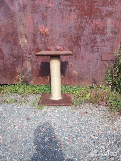 Когтеточка