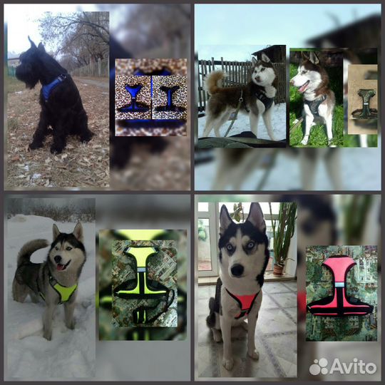 Ездовые, прогулочные, унив-ые, грузовые шлейки