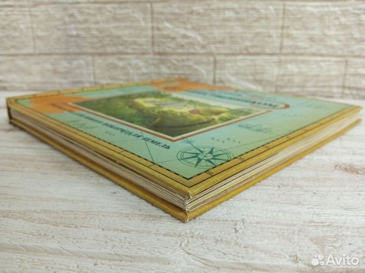 Как стать путешественником 2008 г