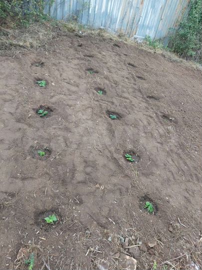 Участок 9 сот. (СНТ, ДНП)