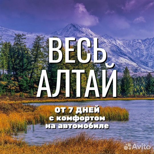 Туры на Алтай: Весь Алтай