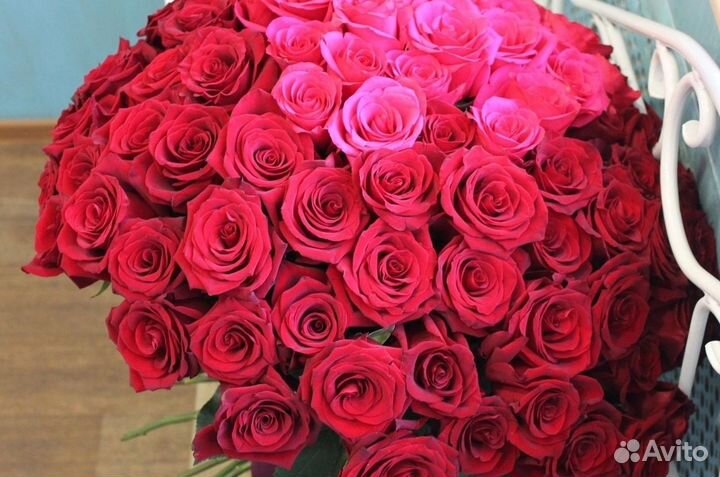 Тюльпан 51 101 опт