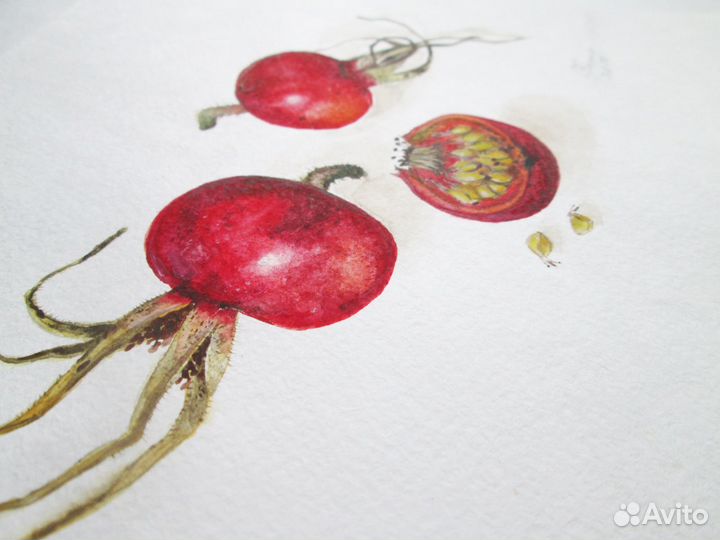 Акварельная картина 