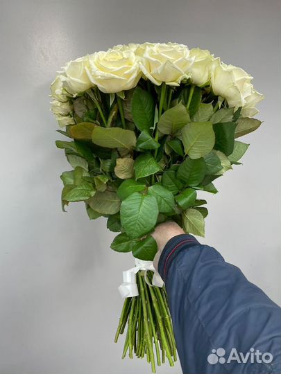 Цветы розы с доставкой 25 51 101 501 1001