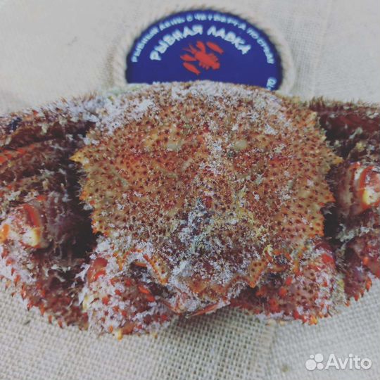 Морепродукты. Деликатесы. Доставка