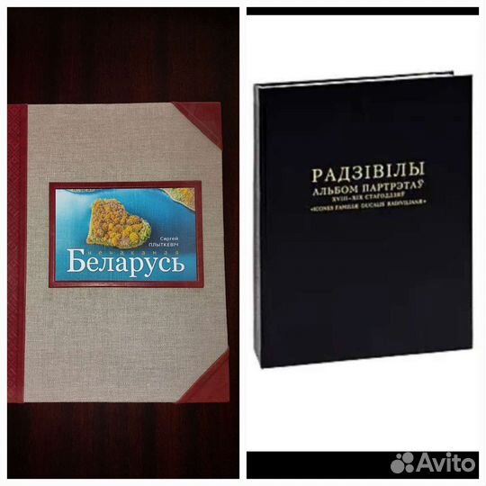 Альбом. Радзивиллы. Неожиданная Беларусь