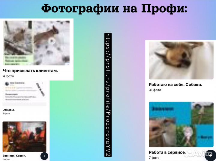 Выгул собак. Щукинская – Планерная