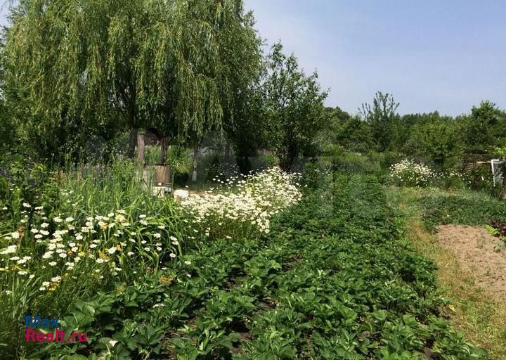 Участок 12 сот. (СНТ, ДНП)