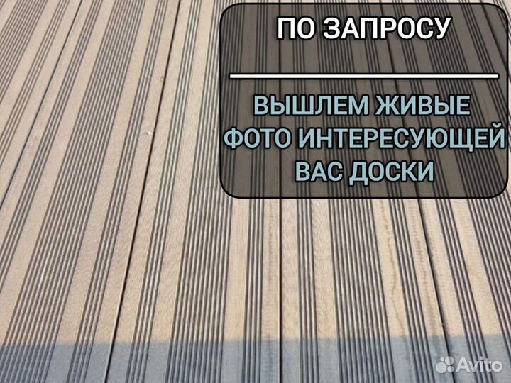 Дпк полнотелый