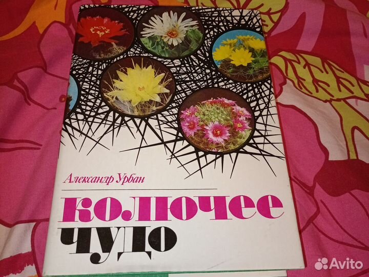 Колючее чудо(о кактусах1983г)