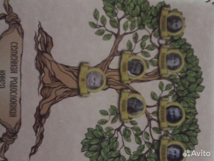 Семейная родословная книга