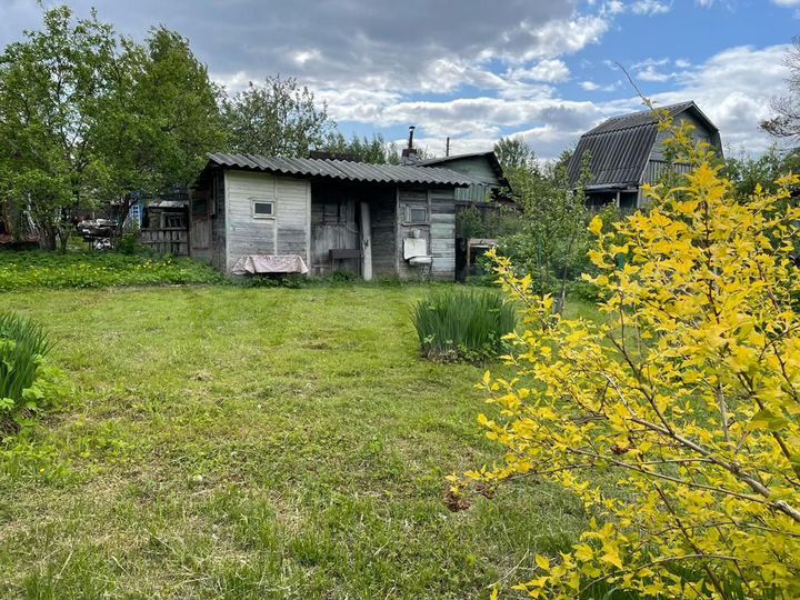 Участок 6,1 сот. (СНТ, ДНП)