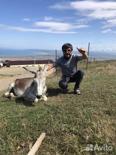Прокат Багги Дербент