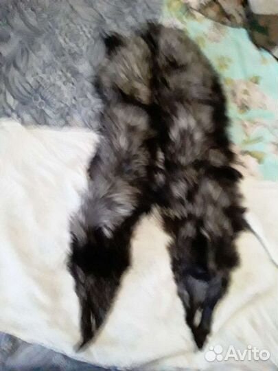 Воротники чернобурки