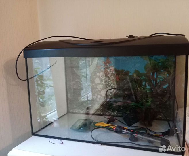 Аквариум 60 литров