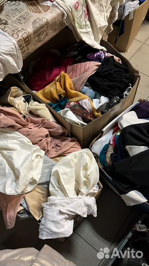 Отдам бесплатно вещи