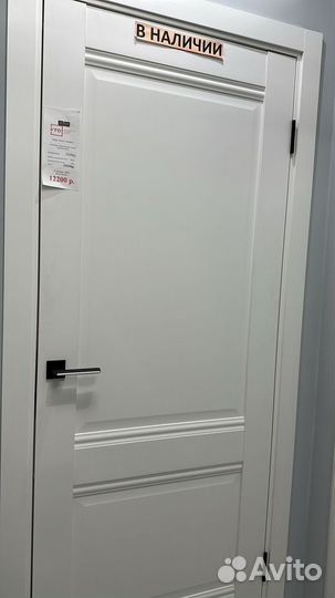 Двери межкомнатные пилот дг EC2 Emalex ice/steel