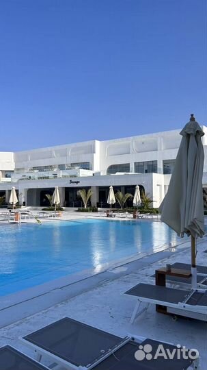 Египет горящие путевки