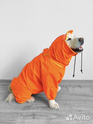 Одежда и обувь для собак и кошек