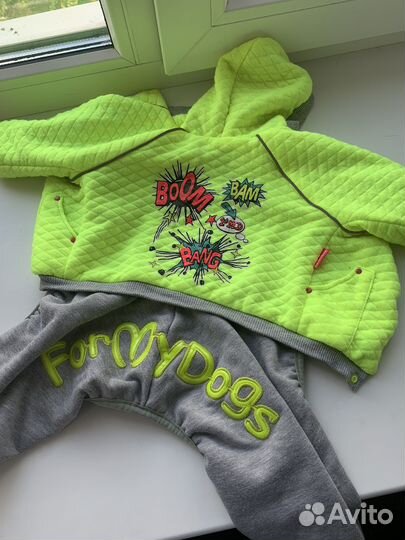 Костюм для шпица/йорка 18