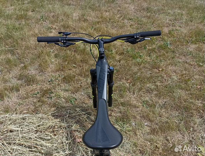 Focus Raven Elite 29