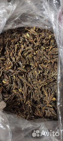 Чай саган дайля