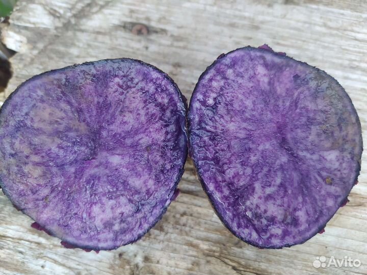 Продам синий картофель