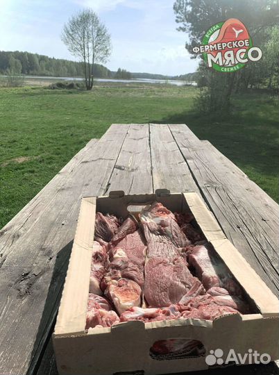 Мясо говядина