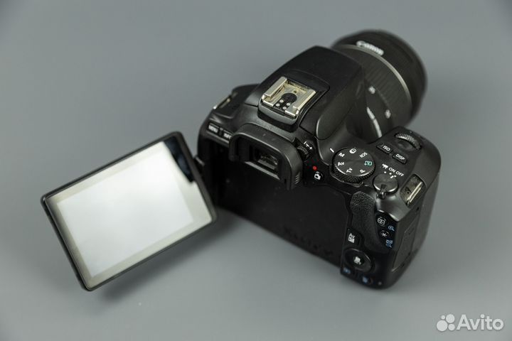 Canon eos 250d