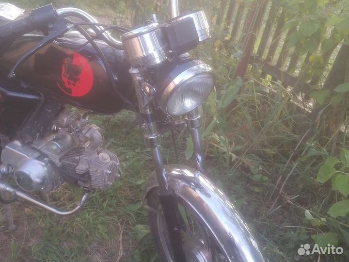Альфа orion