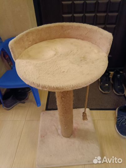 Когтеточка б/у