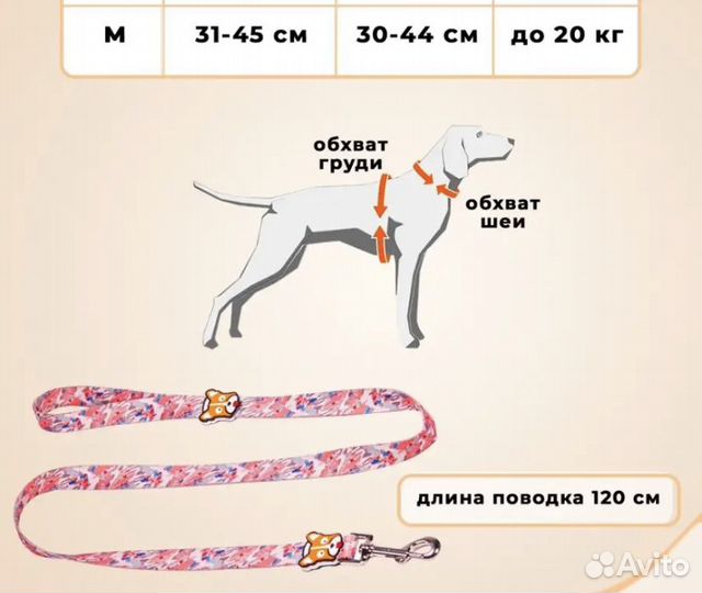 Анатомическая шлейка для собак