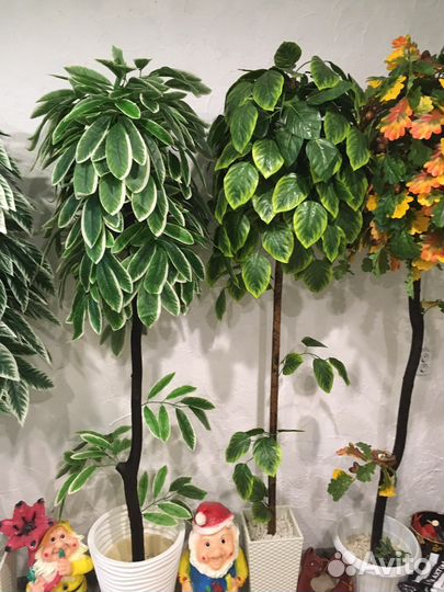 Искусственные растения