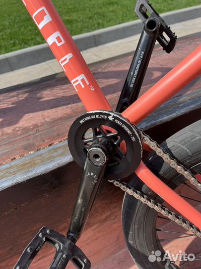 Звезда stress penta 25t